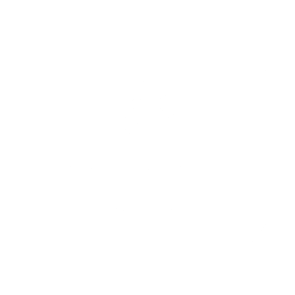Festival Icon